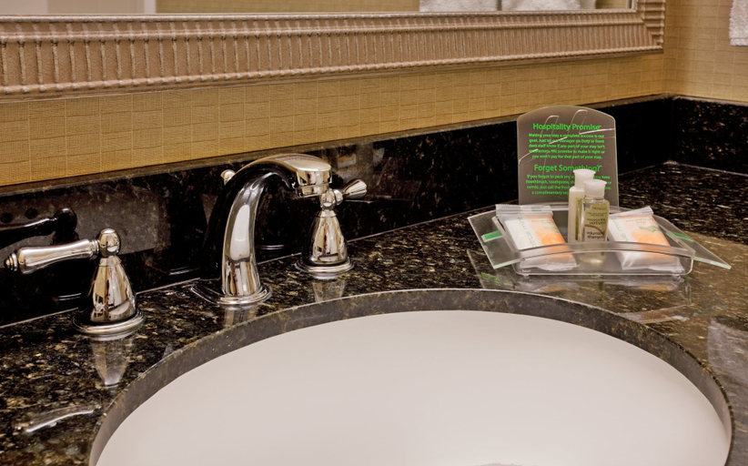 Bathroom 4, Holiday Inn & Suites SPRINGFIELD - I-44 by IHG, Greene