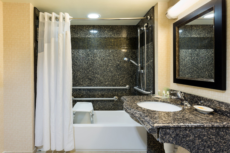 Bathroom 5, Holiday Inn DAYTONA BEACH LPGA BLVD by IHG, Volusia