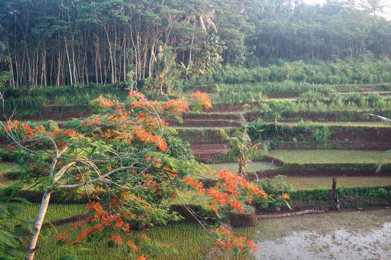 Scenery 7