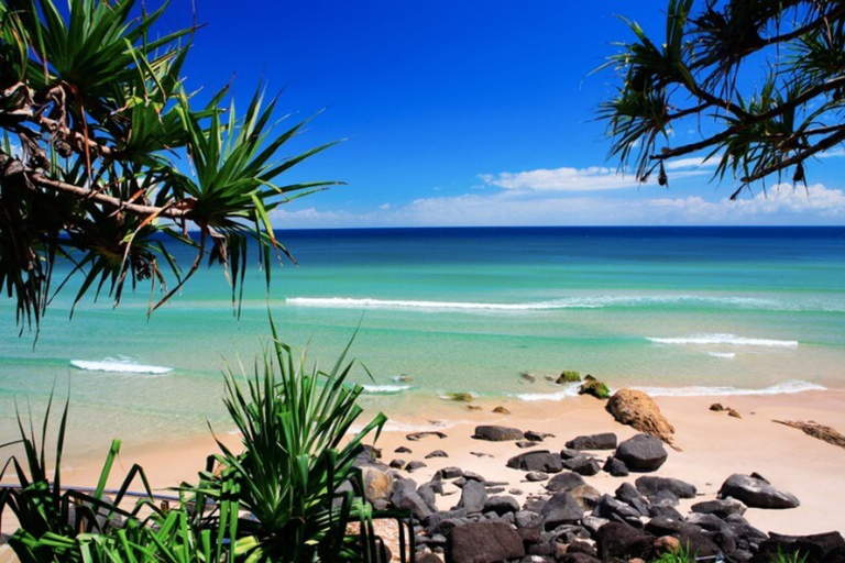 Others 4, Lovely 1 Bedroom Apartment Steps to the Beach, Gold Coast