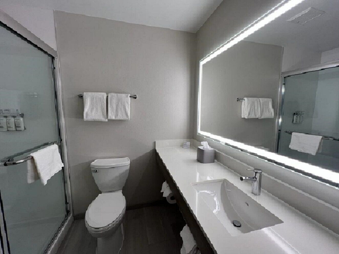 Bathroom 5, Holiday Inn Express RENSSELAER by IHG, Jasper