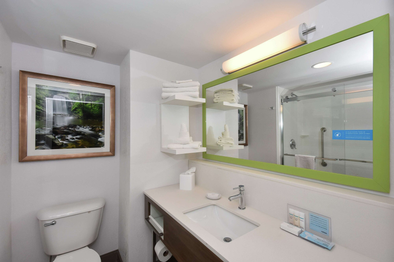 Bathroom 4, Hampton Inn Brevard, Transylvania