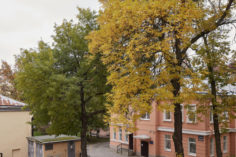 Exterior & Views 2, Wynwood, Sankt-Peterburg gorsovet