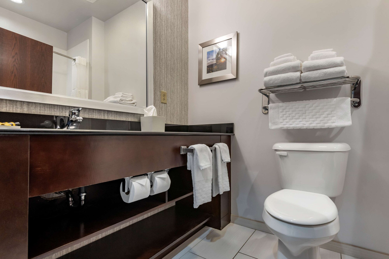 Bathroom 4, Best Western Plus The Hammondsport Hotel, Steuben