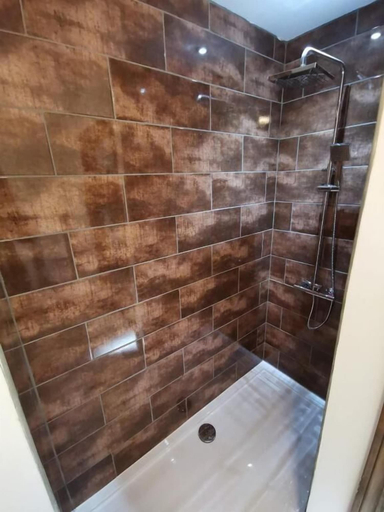 Bathroom 4, Bluestone Hot Tub, Carmarthenshire