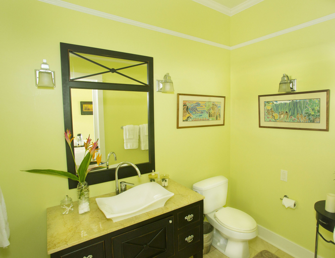 Bathroom 5, Iao Valley Inn, Maui
