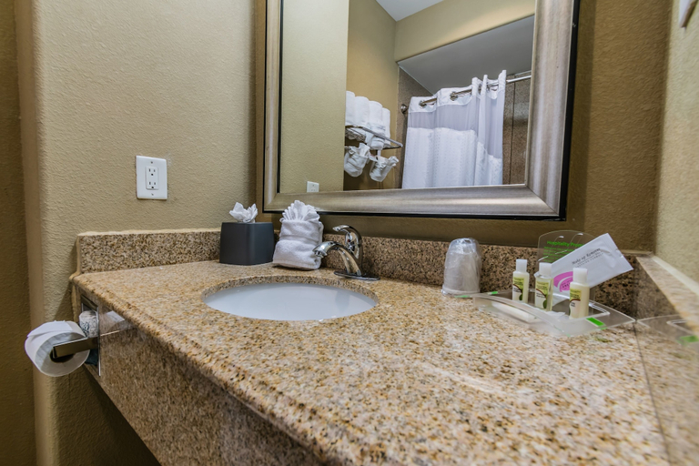 Bathroom 2, Holiday Inn HOUSTON-WEBSTER by IHG, Houston
