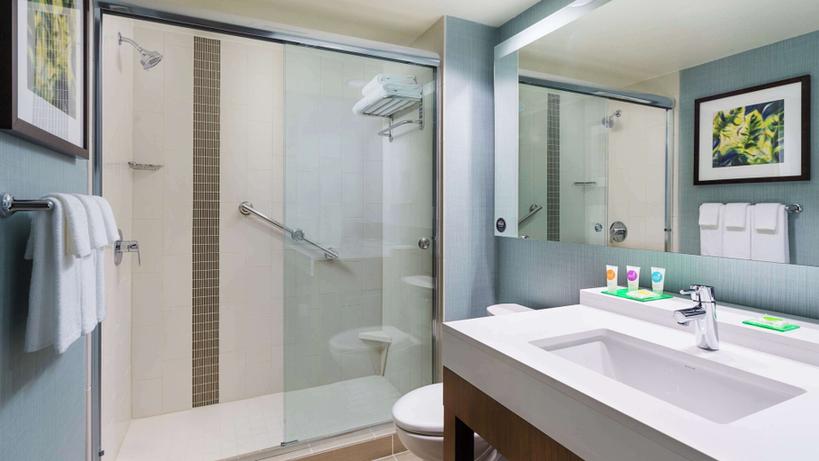 Bathroom 4, Hyatt Place St. Petersburg / Downtown, Pinellas