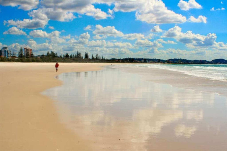 Others 3, Lovely 1 Bedroom Apartment Steps to the Beach, Gold Coast