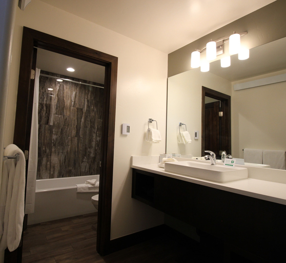 Bathroom 4, Mount Princeton Hot Springs Resort, Chaffee