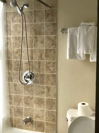 Bathroom 4, Admiral Hotel, San Francisco
