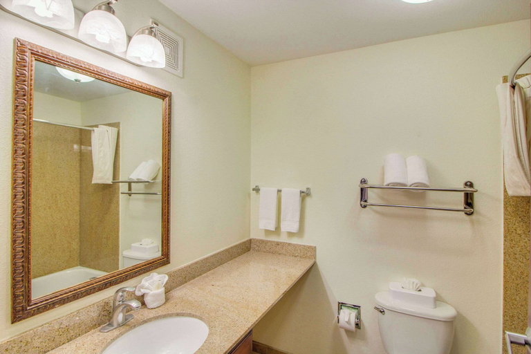 Bathroom 5, MainStay Suites Texas Medical Center/Reliant Park, Houston