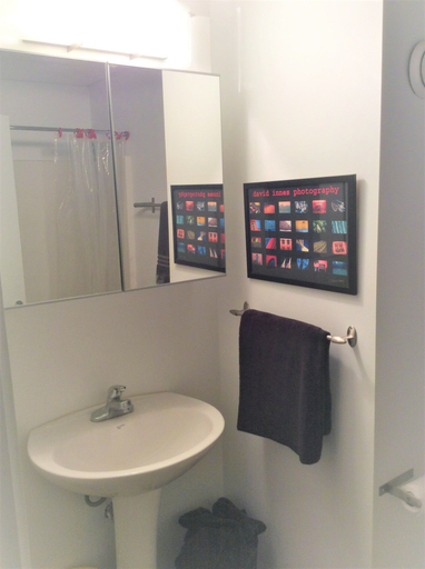 Bathroom, Downtown Executive Condo Loft, Division No. 11