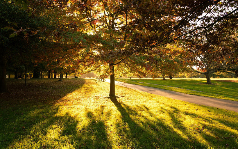 Nearby Landmark 3, Fendalton Park Luxury Bed and Breakfast, Christchurch