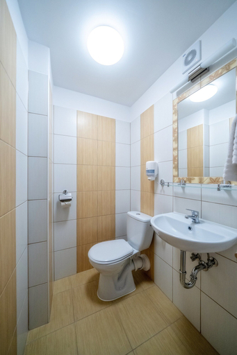 Bathroom 4, Pensjonat Biały Potok - POLSKIE TATRY S.A., Tatra