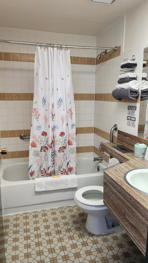 Bathroom 5, Golden Arrow Motel, Prowers