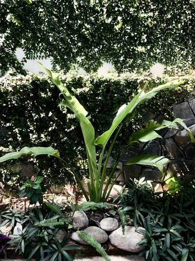 Others 4, Sunny Garden Homestay, Da Nang