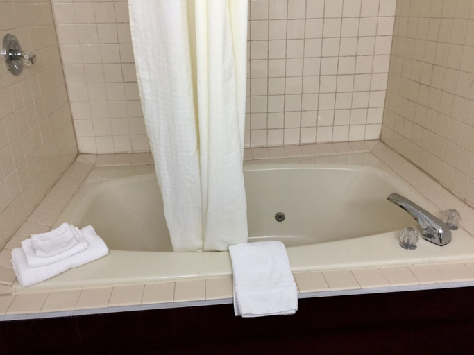 Bathroom 4, Laketree Inn And Suites Marion, Williamson