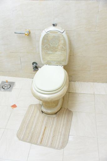 Bathroom 4, Kenzy Guest House, Al-Ahram