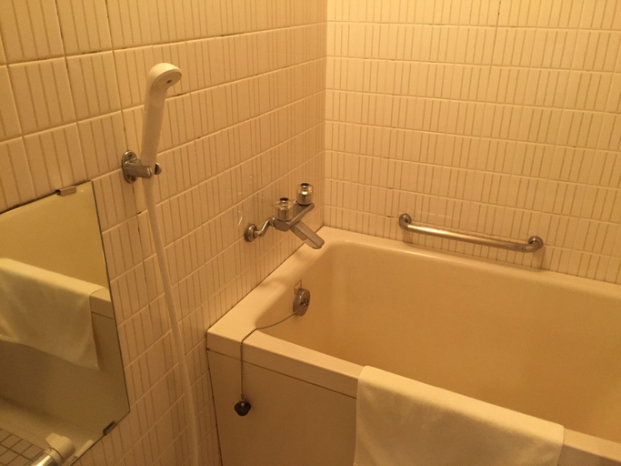 Bathroom 4, Serabekkan, Hiroshima