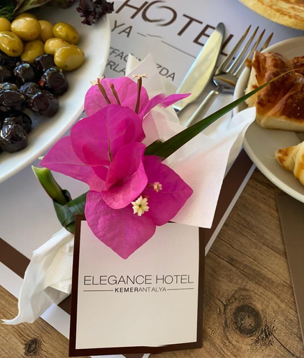 Food & Drinks 5, Elegance Hotel Kemer, Kemer