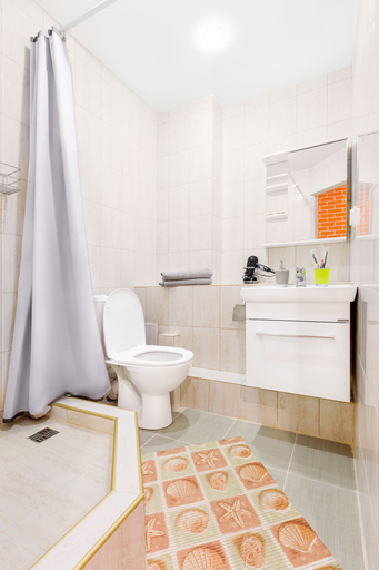Bathroom 3, Apart Hotel 21 Liniya, Sankt-Peterburg gorsovet