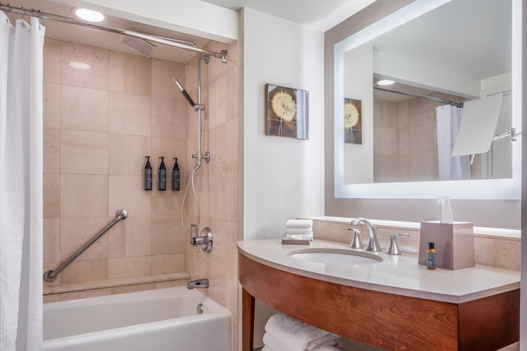 Bathroom 5, The Westin Buckhead Atlanta, Atlanta