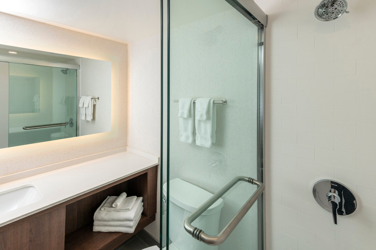Bathroom 5, Holiday Inn KINGSTON-WATERFRONT by IHG, Frontenac