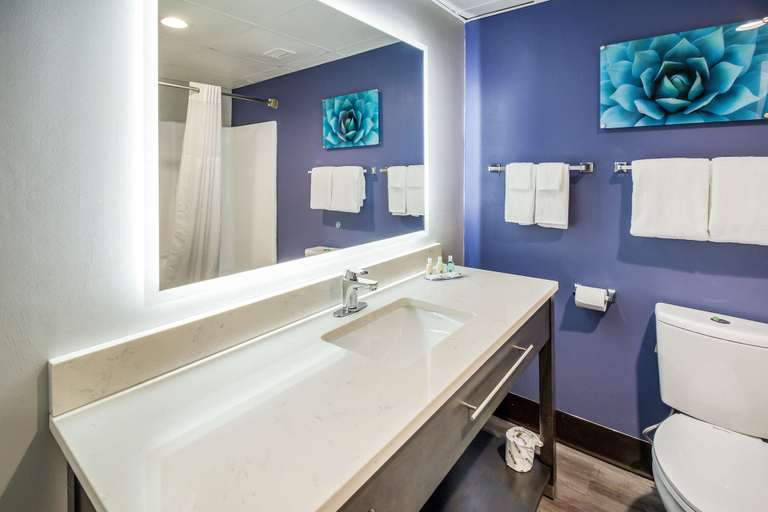 Bathroom 4, Quality Inn near MCAS Cherry Point, Craven