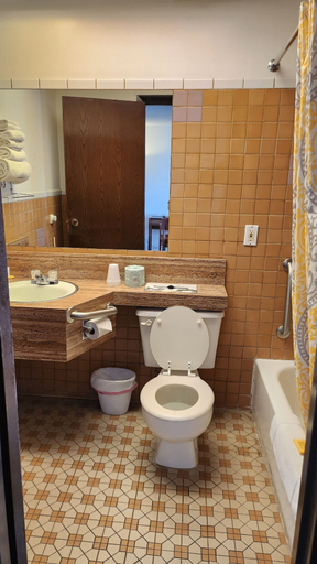Bathroom 5, Golden Arrow Motel, Prowers