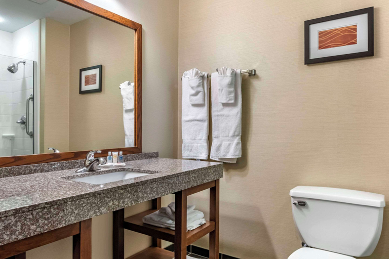 Bathroom 4, Comfort Inn Williamsport, Lycoming
