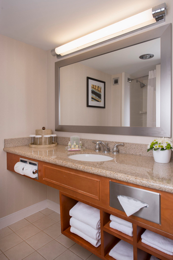 Bathroom 5, Holiday Inn WINNIPEG-SOUTH by IHG, Division No. 11