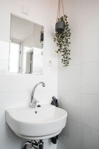 Bathroom 3, The Lion King, Groningen