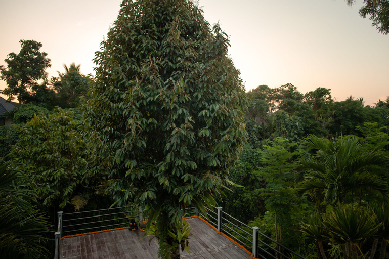 Scenery 5
