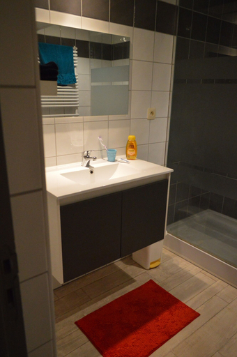 Bathroom 3, Camping Le Petit Lion - Gites, Dordogne
