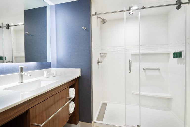 Bathroom 4, Residence Inn by Marriott Buffalo Downtown, Erie