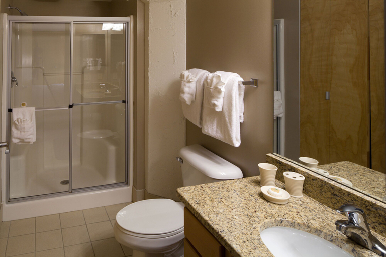 Bathroom, Bridgestreet at the Bingham, Cuyahoga