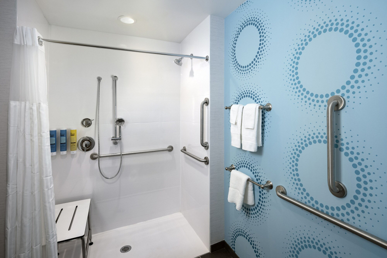 Bathroom 4, Tru by Hilton Asheville Blue Ridge Parkway, Buncombe