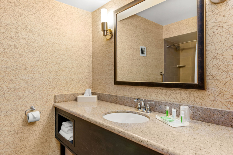 Bathroom 2, Holiday Inn JOHNSON CITY by IHG, Washington