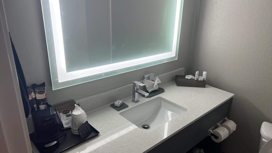 Bathroom 5, La Quinta Inn & Suites by Wyndham Ada, Pontotoc