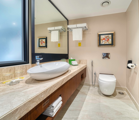 Bathroom 5, Holiday Inn KOLKATA AIRPORT by IHG, North 24 Parganas
