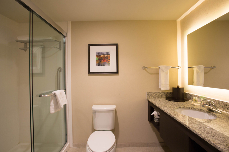 Bathroom 2, Holiday Inn MURFREESBORO by IHG, Rutherford