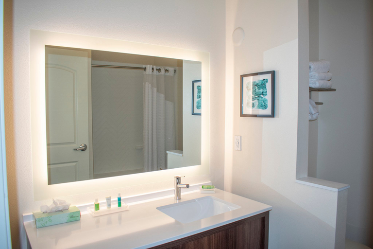 Bathroom 2, Holiday Inn OMAHA DOWNTOWN - WATERPARK by IHG, Douglas