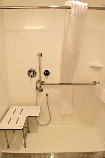 Bathroom 4, Hampton Inn Buffalo-Hamburg, Erie