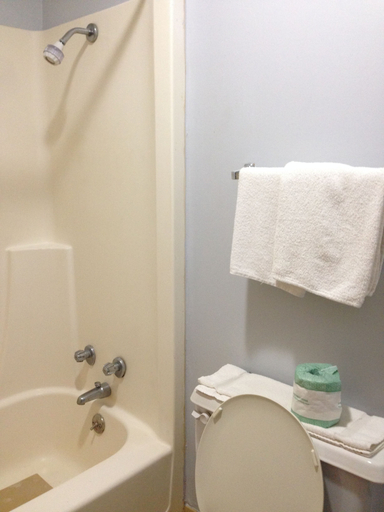 Bathroom 4, Royal Inn, Monroe