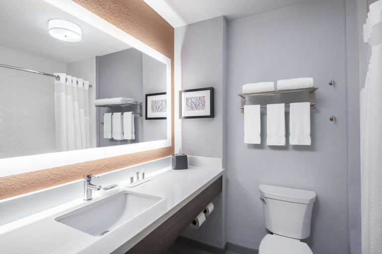 Bathroom 2, Holiday Inn ODESSA by IHG, Ector