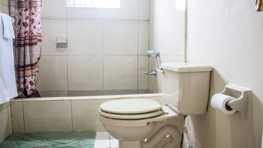 Bathroom 4, Paradise Place