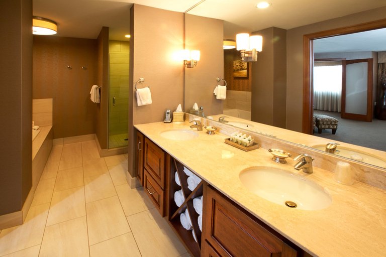 Bathroom 4, Holiday Inn SIOUX FALLS-CITY CENTRE by IHG, Minnehaha
