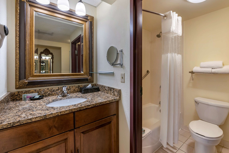 Bathroom 4, Best Western Gateway Grand, Alachua