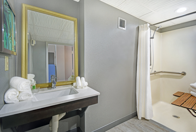 Bathroom 4, Holiday Inn MEMPHIS-DOWNTOWN (BEALE ST.) by IHG, Shelby